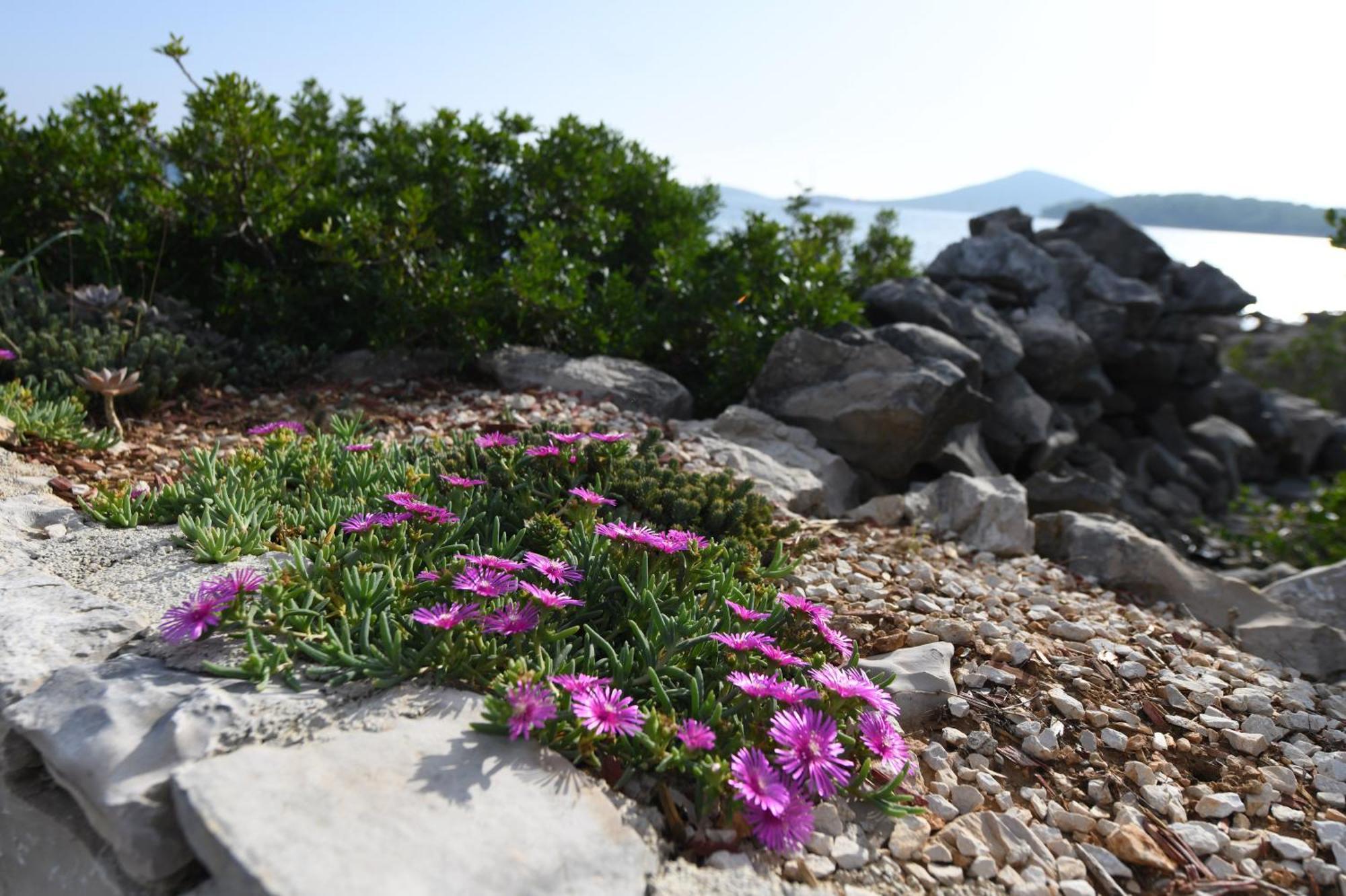 Beach House Marina Grande Бетина Екстер'єр фото